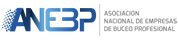 Anebp Logo